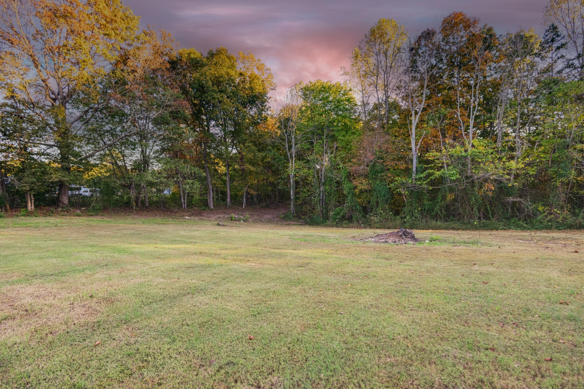 838 Old W Point Road Smithville, TN 37166 - Photo 54 of 65 a view of a field with a tree