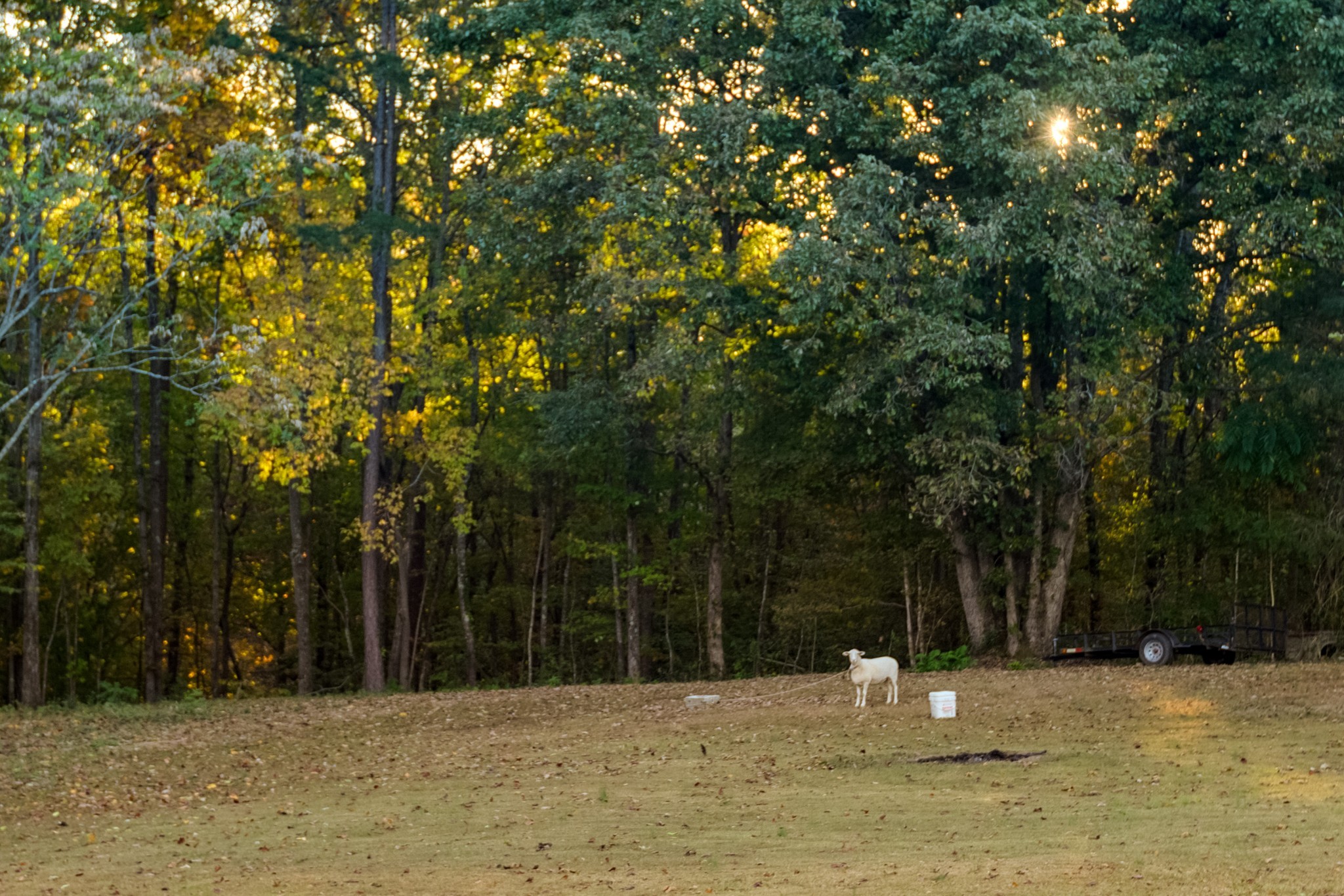 838 Old W Point Road Smithville, TN 37166 - Photo 60 of 65