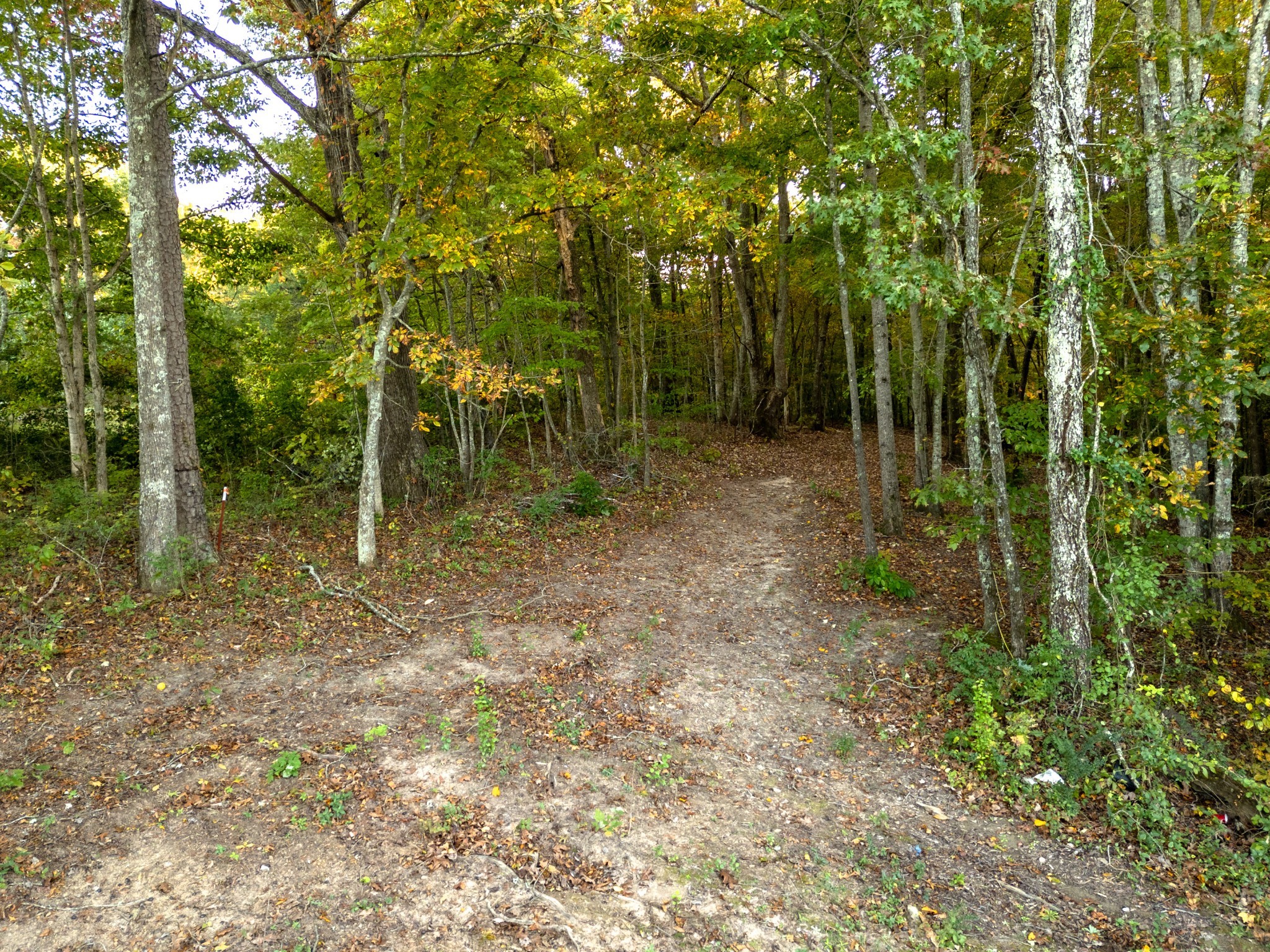 838 Old W Point Road Smithville, TN 37166 - Photo 10 of 65 a view of outdoor space and trees