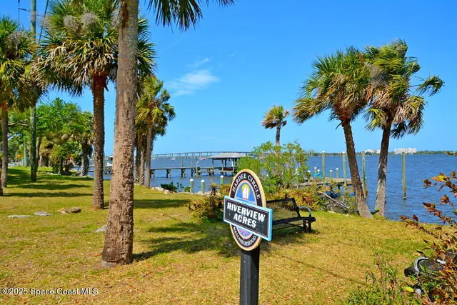 a front view of a garden with palm trees