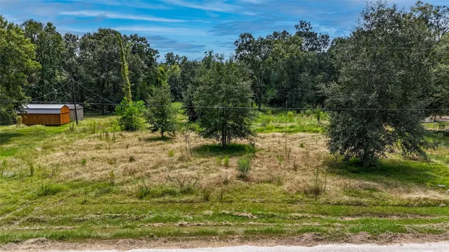 a view of a yard with large trees
