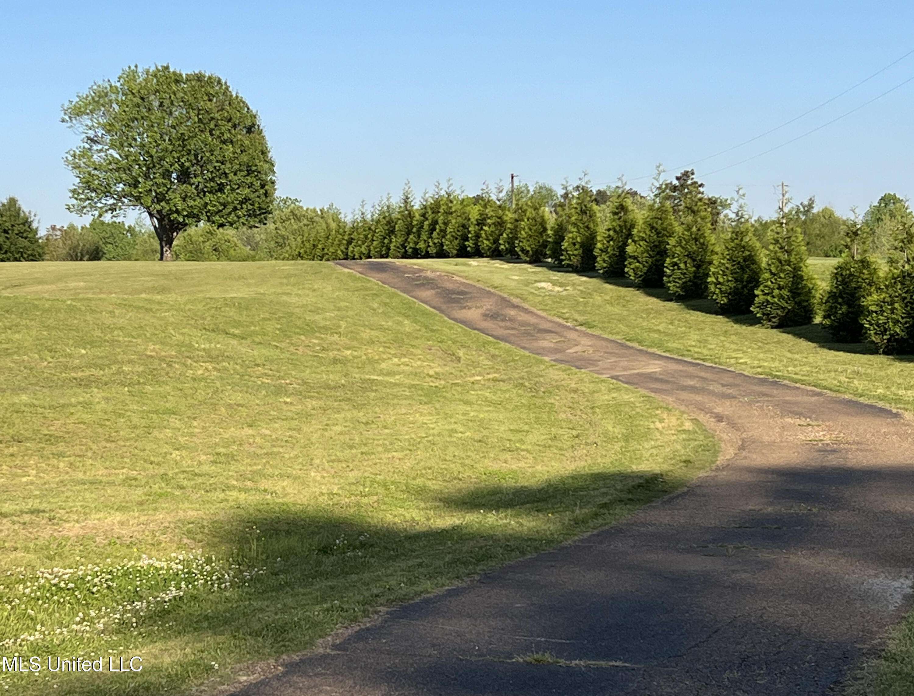 3740 Highway 301 Hernando, MS 38632 - Photo 2 of 47 IMG_4110