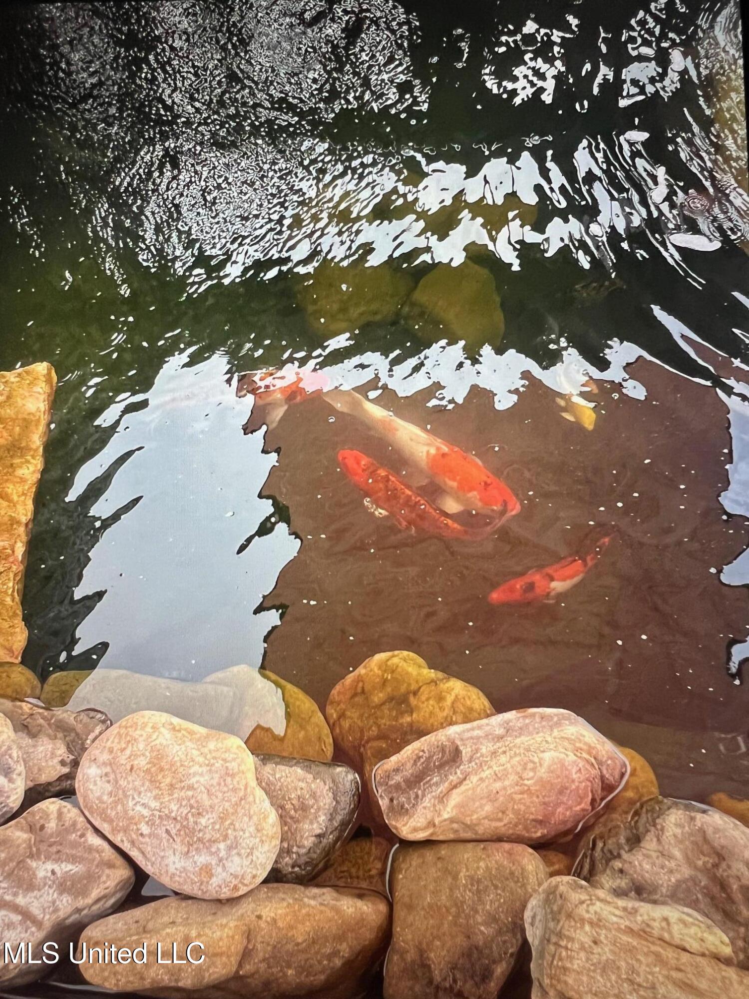 3740 Highway 301 Hernando, MS 38632 - Photo 28 of 47 image1