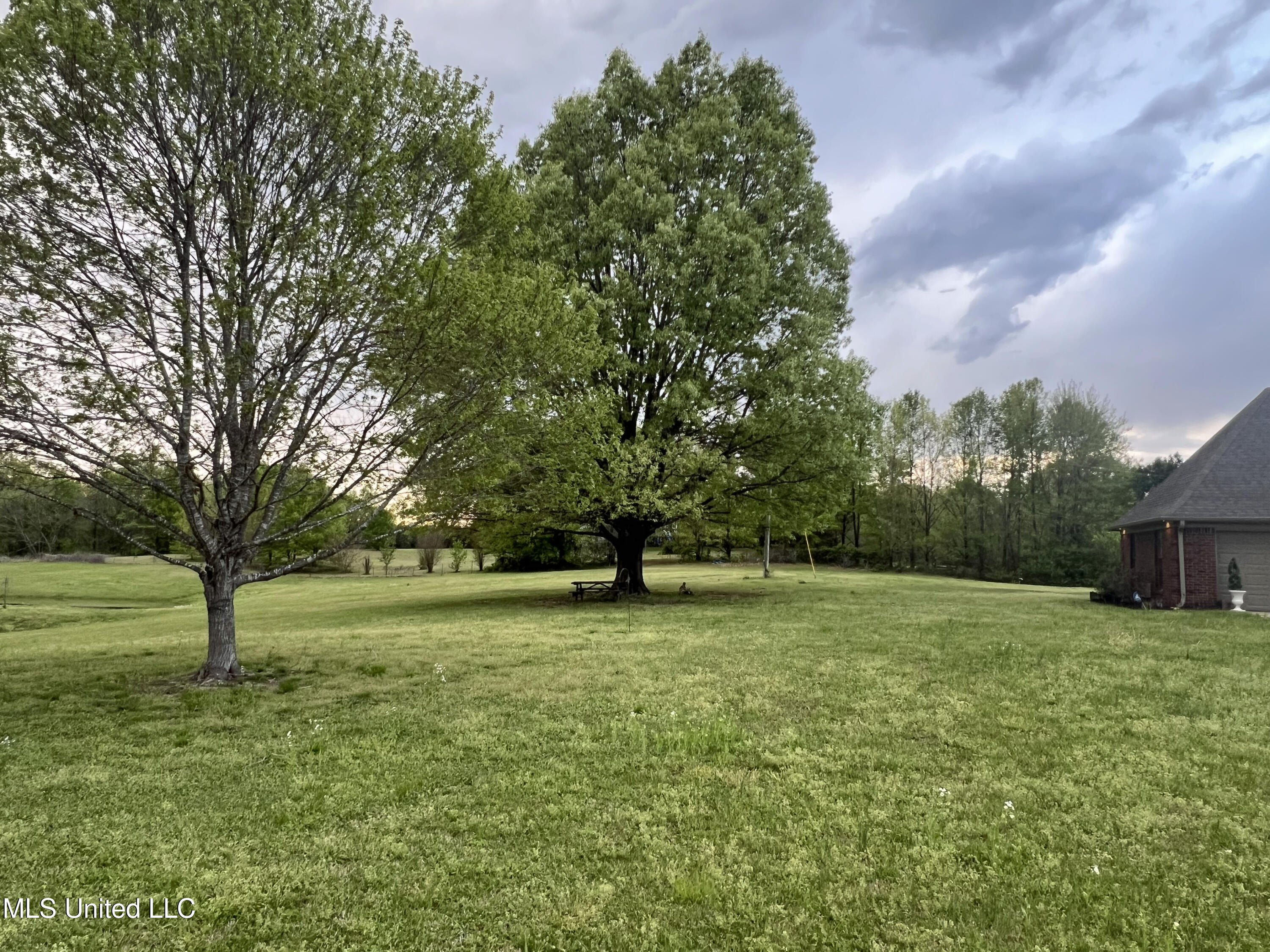 3740 Highway 301 Hernando, MS 38632 - Photo 4 of 47 IMG_3979