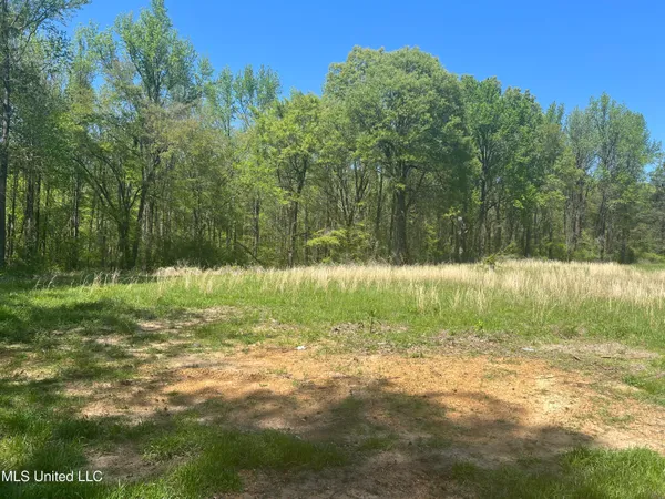 $1,399,000 | 3740 Highway 301, Hernando, MS 38632