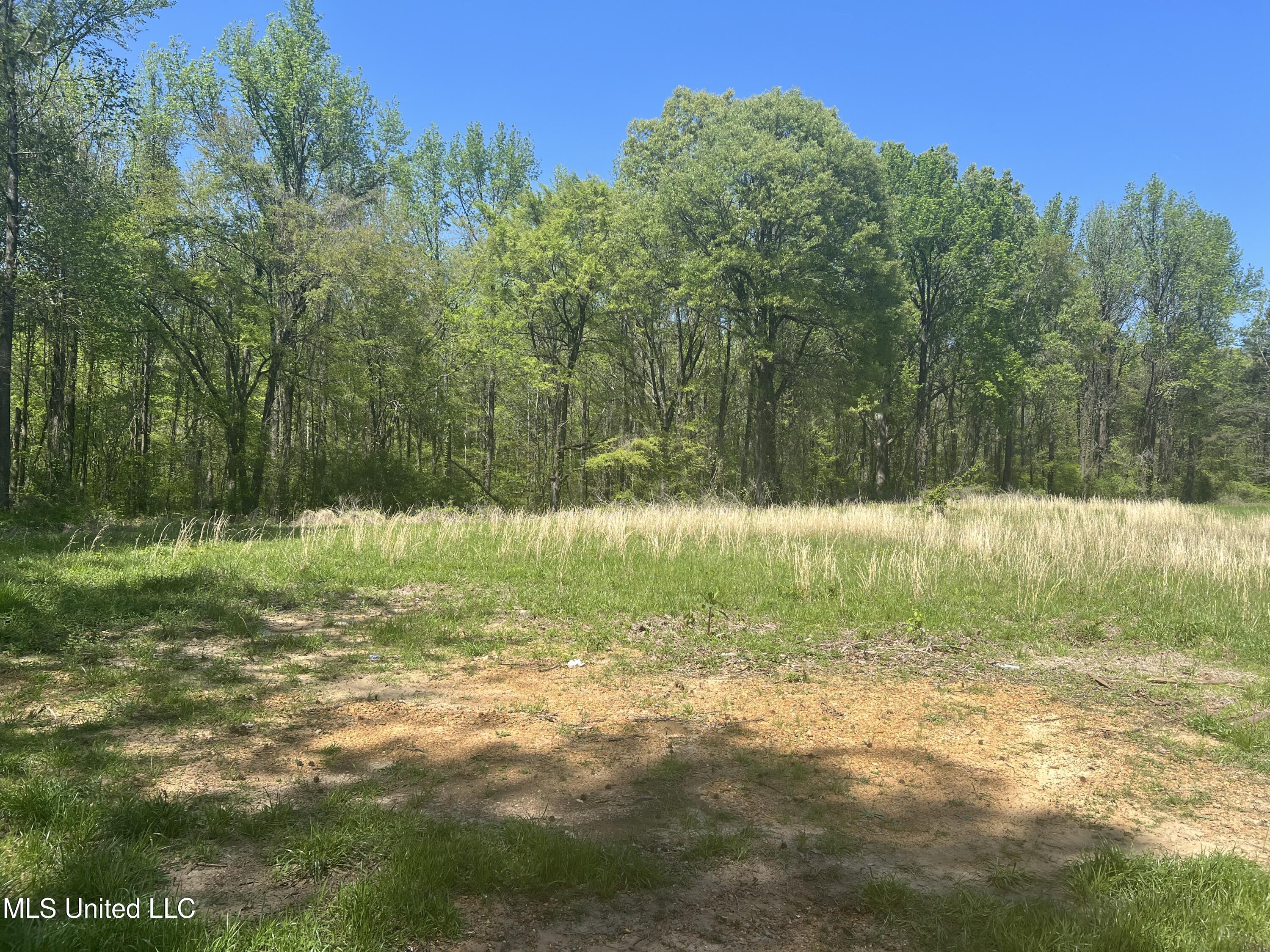 3740 Highway 301 Hernando, MS 38632 - Photo 44 of 47 IMG_4021