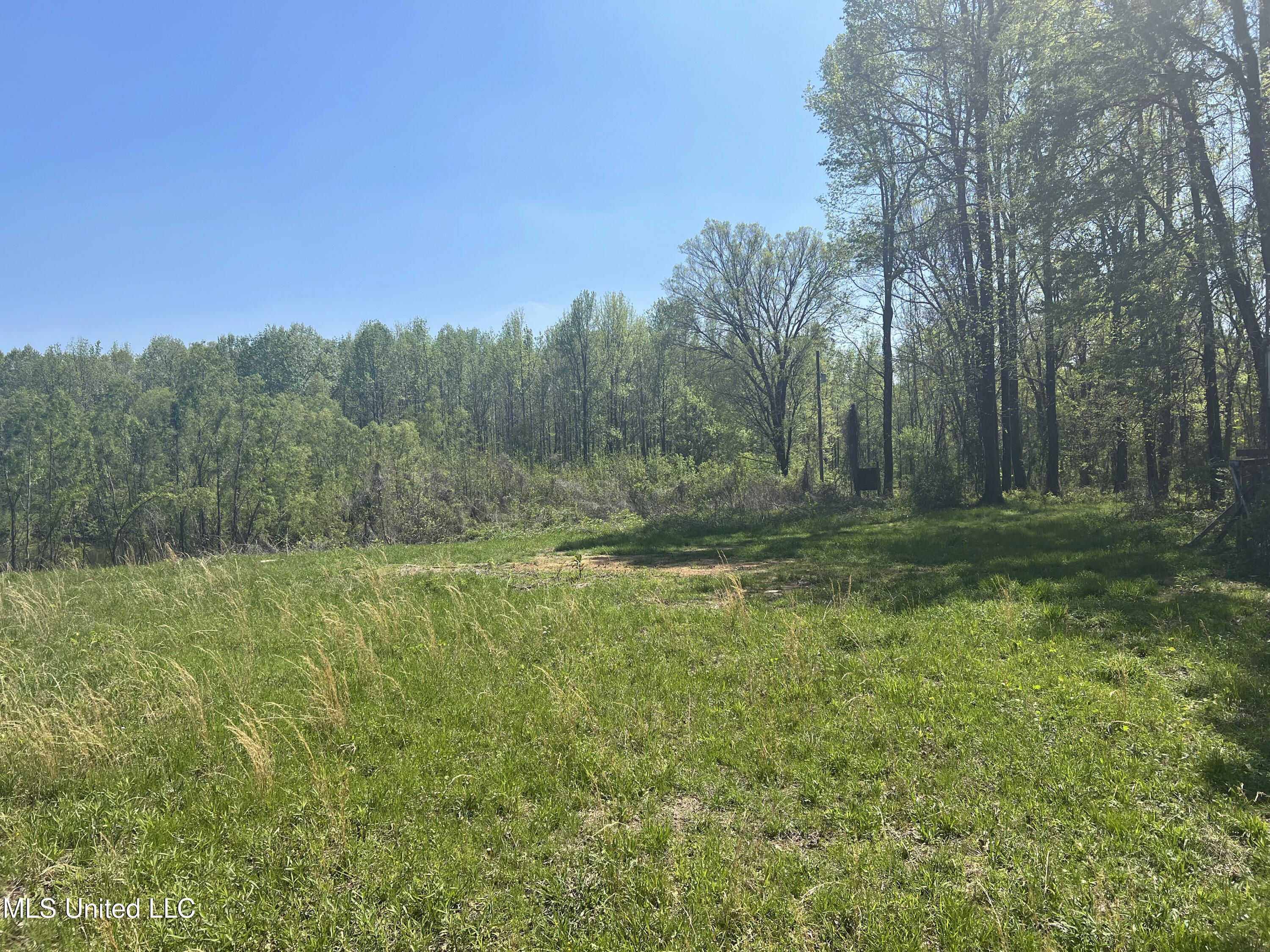 3740 Highway 301 Hernando, MS 38632 - Photo 45 of 47 IMG_4025