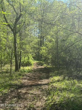 $1,399,000 | 3740 Highway 301, Hernando, MS 38632