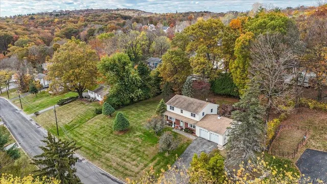 a bird view of a garden with a tree