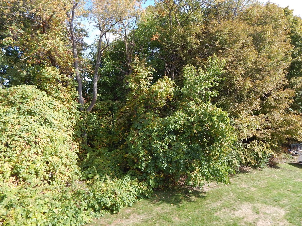 3 Walker Road, Unit 11 North Andover, MA 01845 - Photo 10 of 10 Gallery Image 10
