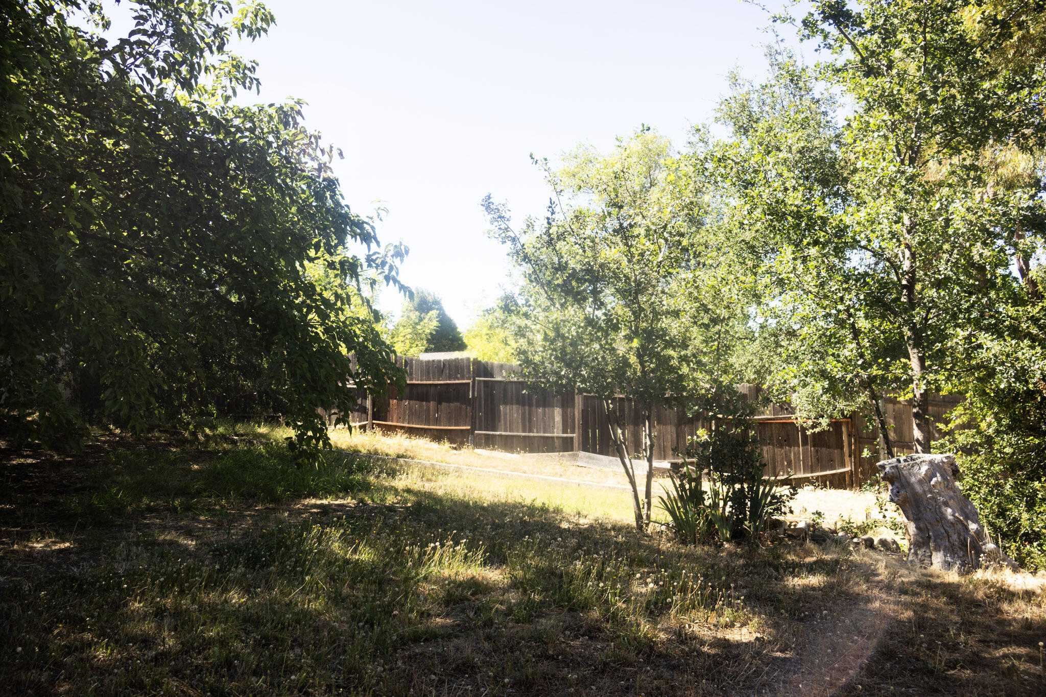 1026 Moss Creek Road Redding, CA 96003 - Photo 25 of 26 IMG_2287