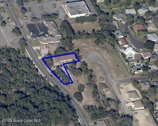 a view of a backyard with a forest