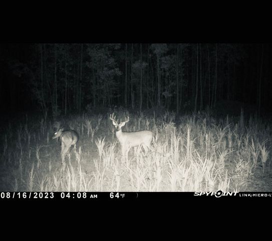 a view of outdoor space with wooden floor