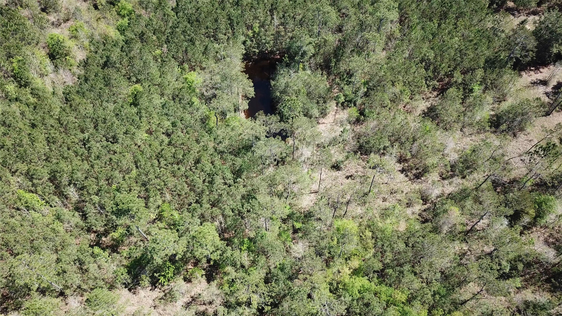 0 Langham Road Kountze, TX 77625 - Photo 2 of 11