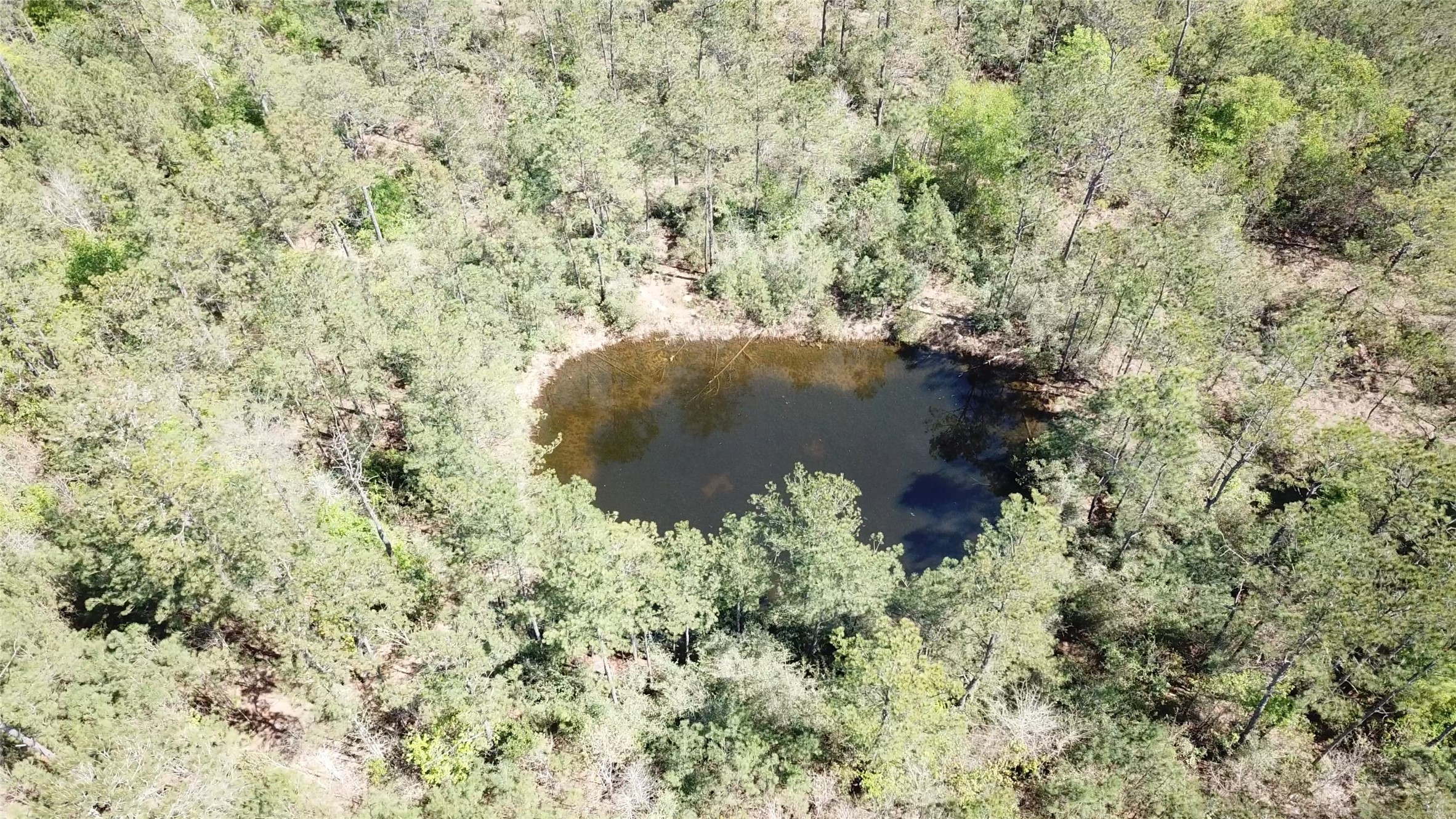 0 Langham Road Kountze, TX 77625 - Photo 3 of 11