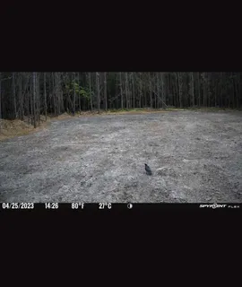 a view of outdoor space