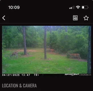 a view of a back yard