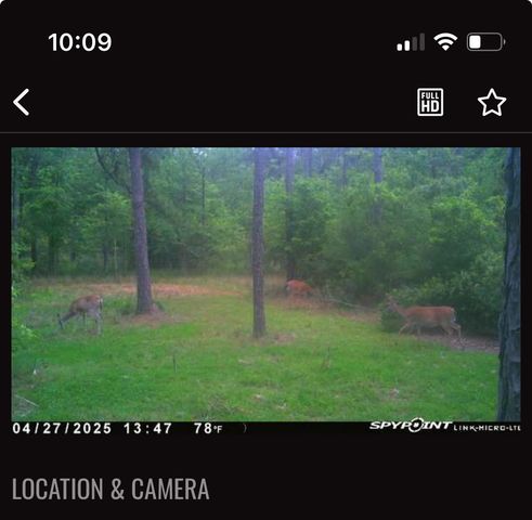 a view of a back yard