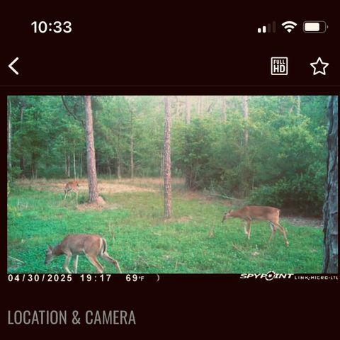a view of an outdoor space and a yard