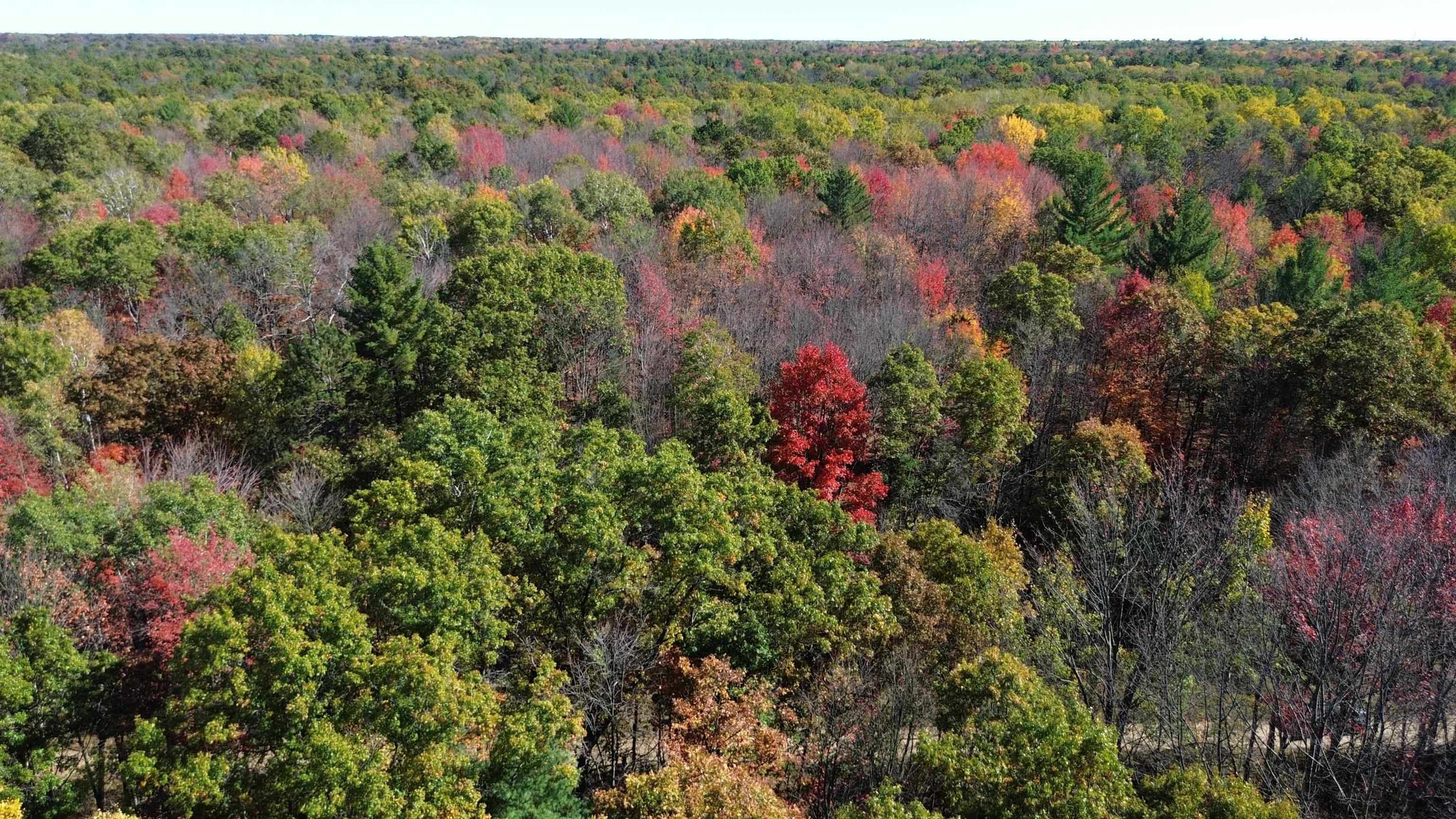 0 Timber Trail Prescott, MI 48756 - Photo 4 of 44