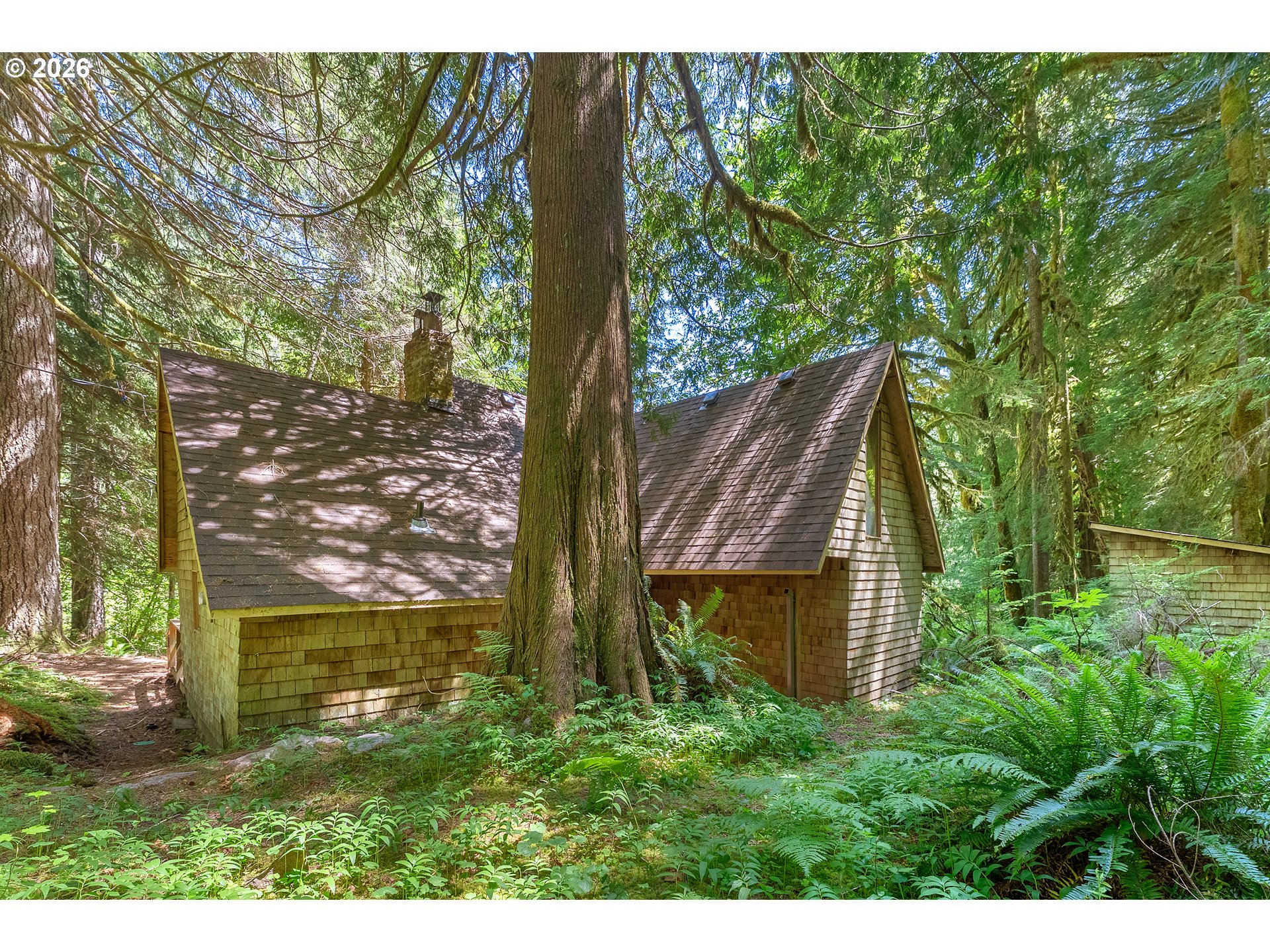 29544 Road 12 Rhododendron, OR 97049 - Photo 3 of 44 Front Yard