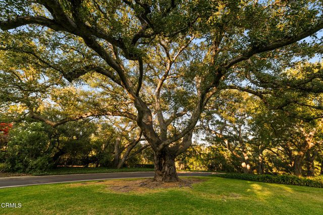 a view of outdoor space with deck and trees