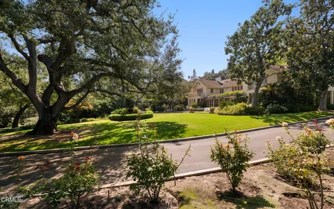 a view of a park with large trees