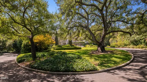 a view of a garden with a tree