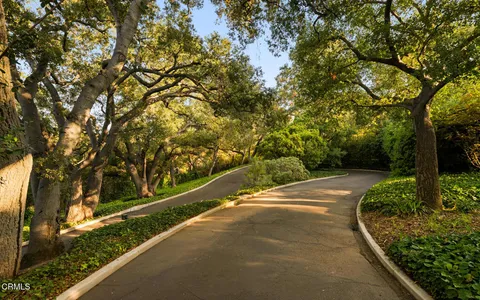 a view of a yard with potted plants and large trees