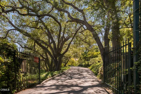 a view of a yard with plants and trees