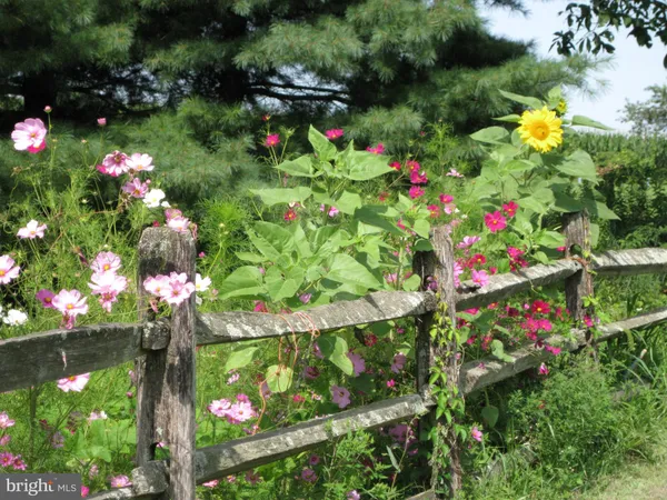 a view of an ocean from a yard