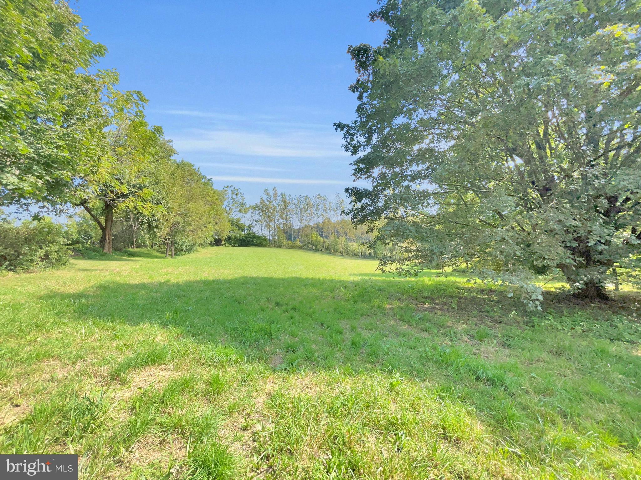 1095 Texter Mountain Road Denver, PA 17517 - Photo 33 of 37 a view of yard with green space