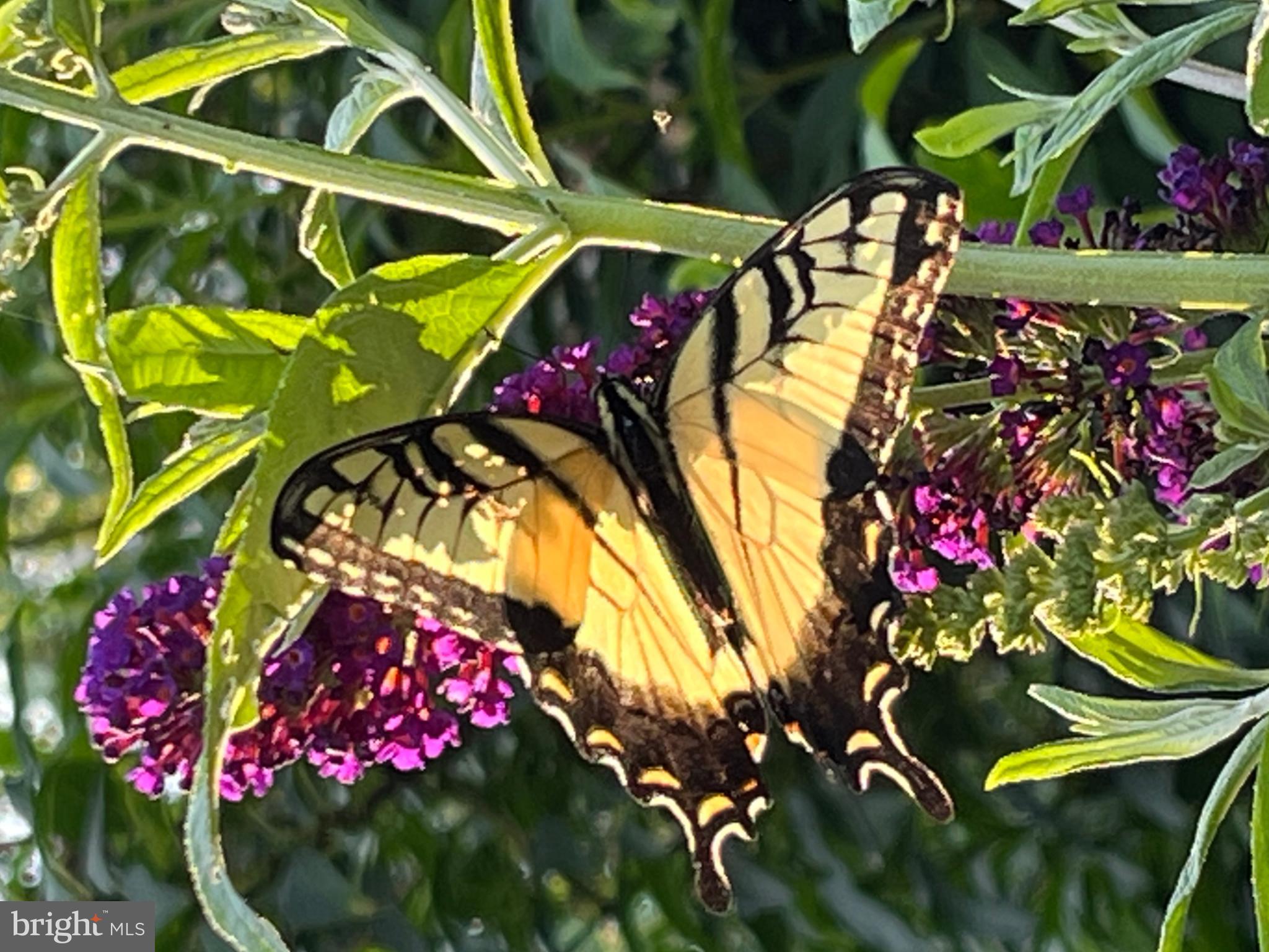 1095 Texter Mountain Road Denver, PA 17517 - Photo 34 of 37 a view of an outdoor space