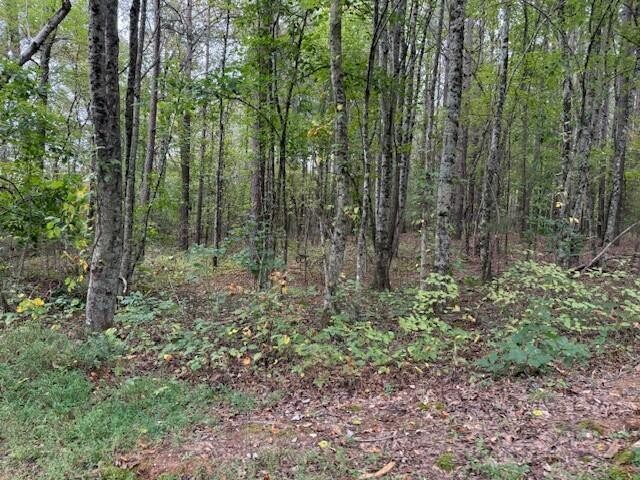 7 Fagin Road Madisonville, TN 37354 - Photo 11 of 23 Gallery Image 11