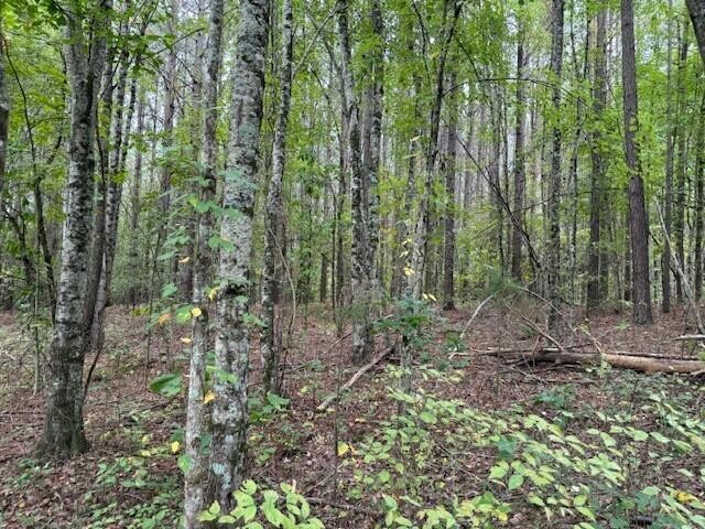 7 Fagin Road Madisonville, TN 37354 - Photo 12 of 23 Gallery Image 12