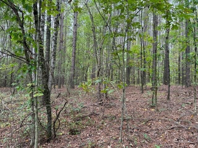 7 Fagin Road Madisonville, TN 37354 - Photo 13 of 23 Gallery Image 13