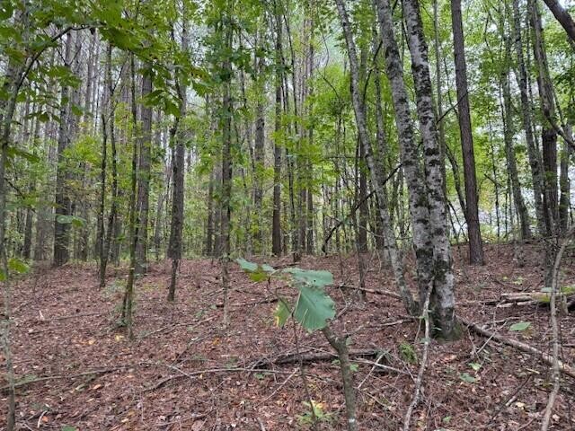 7 Fagin Road Madisonville, TN 37354 - Photo 14 of 23 Gallery Image 14