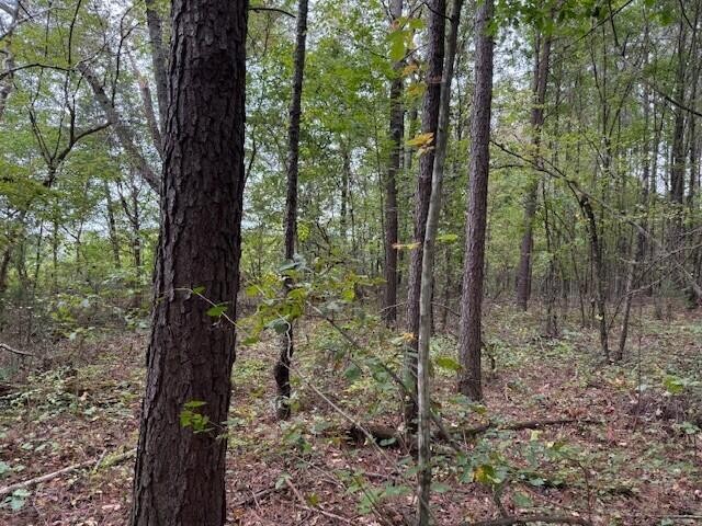 7 Fagin Road Madisonville, TN 37354 - Photo 15 of 23 Gallery Image 15