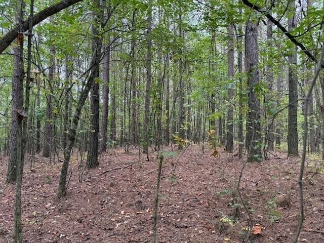 7 Fagin Road Madisonville, TN 37354 - Photo 2 of 23 Gallery Image 2