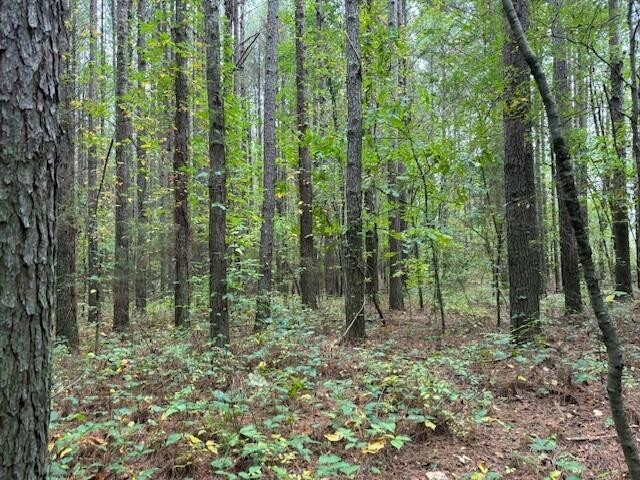 7 Fagin Road Madisonville, TN 37354 - Photo 3 of 23 Gallery Image 3