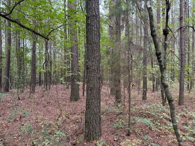 7 Fagin Road Madisonville, TN 37354 - Photo 4 of 23 Gallery Image 4