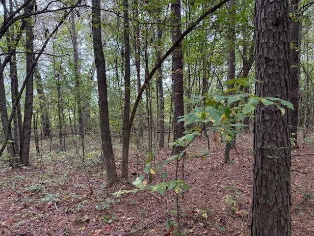 7 Fagin Road Madisonville, TN 37354 - Photo 5 of 23 Gallery Image 5