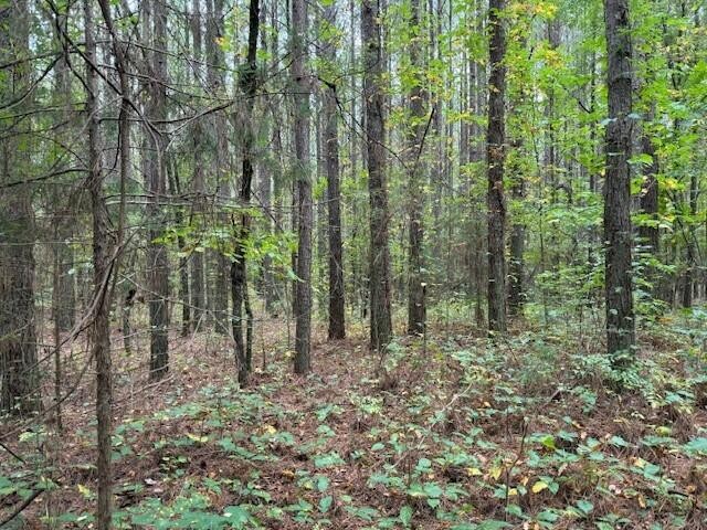 7 Fagin Road Madisonville, TN 37354 - Photo 6 of 23 Gallery Image 6