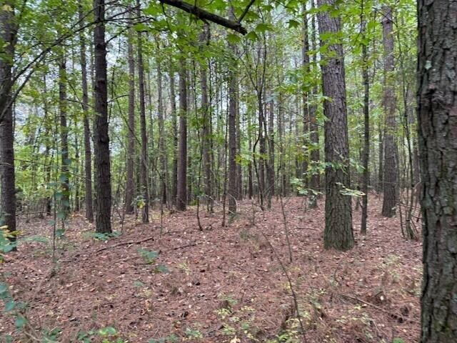 7 Fagin Road Madisonville, TN 37354 - Photo 7 of 23 Gallery Image 7