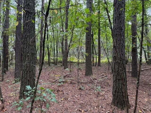 7 Fagin Road Madisonville, TN 37354 - Photo 9 of 23 Gallery Image 9