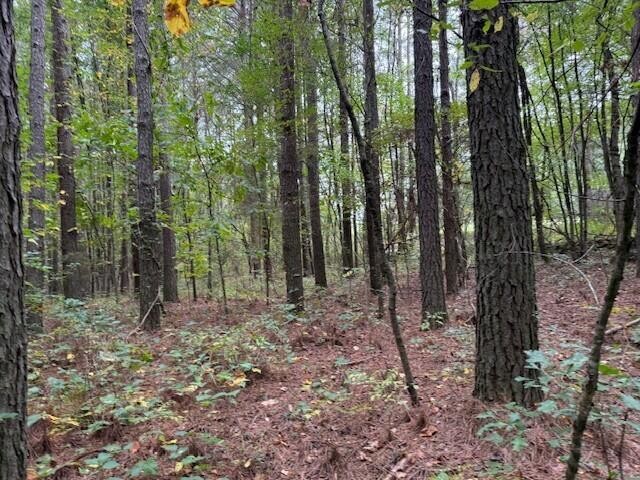 7 Fagin Road Madisonville, TN 37354 - Photo 10 of 23 Gallery Image 10