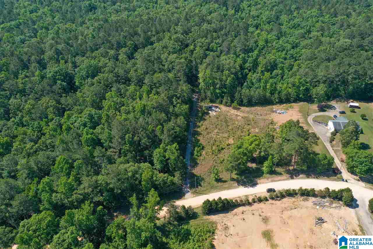 948 Old Deer Creek Road Sterrett, AL 35147 - Photo 9 of 19