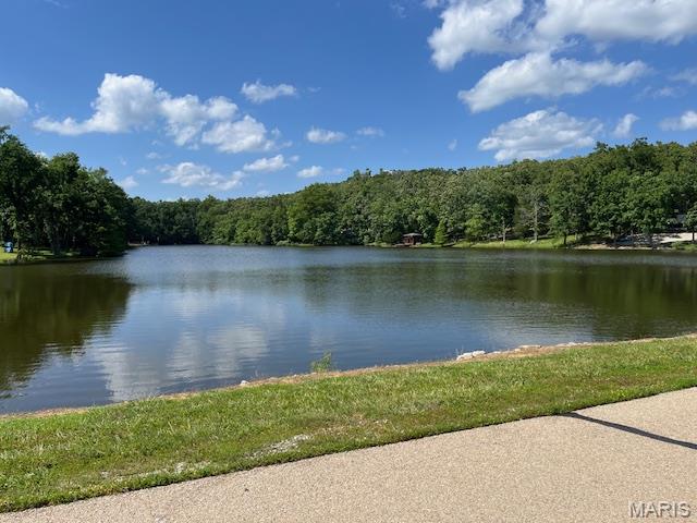 5031 Port Perry Drive Perryville, MO 63775 - Photo 14 of 19