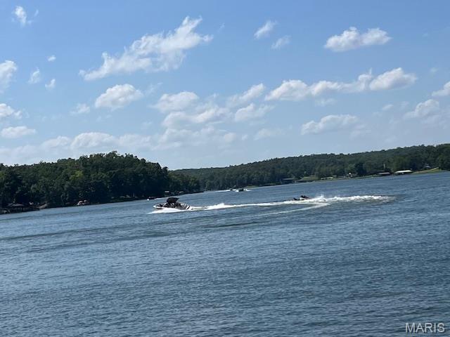 5031 Port Perry Drive Perryville, MO 63775 - Photo 16 of 19