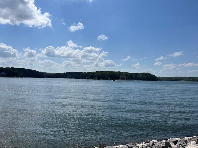 5031 Port Perry Drive Perryville, MO 63775 - Photo 17 of 19